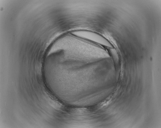 X0000089380108200707061149