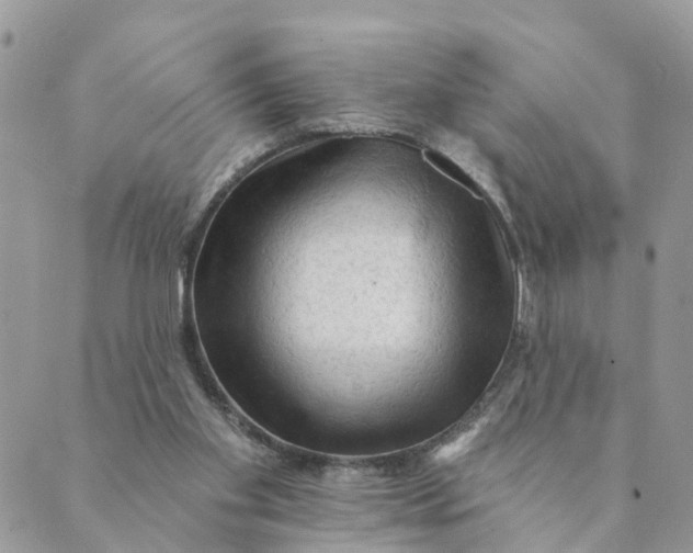 X0000089380109200707061149