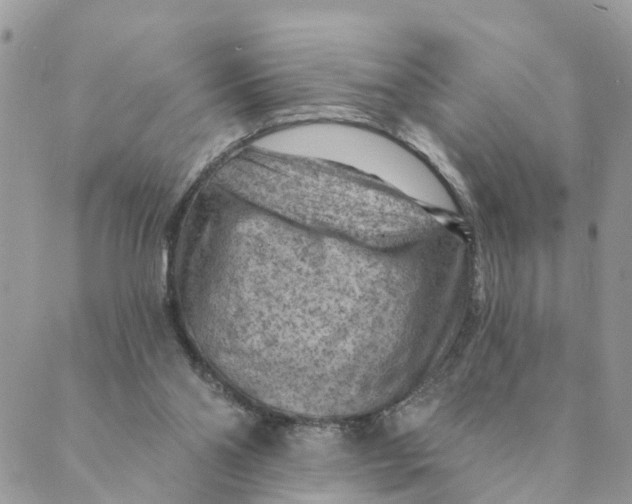 X0000089380110200707061149