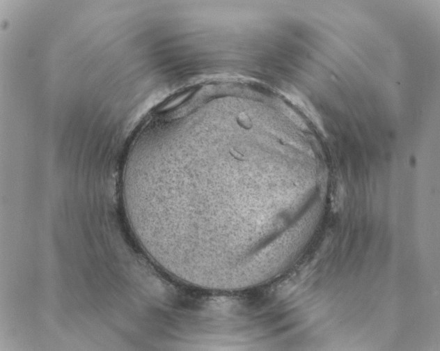 X0000089380111200707061149