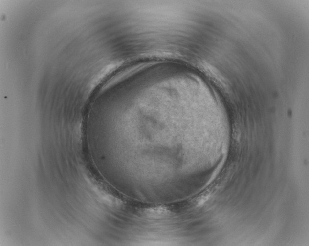 X0000089380112200707061149