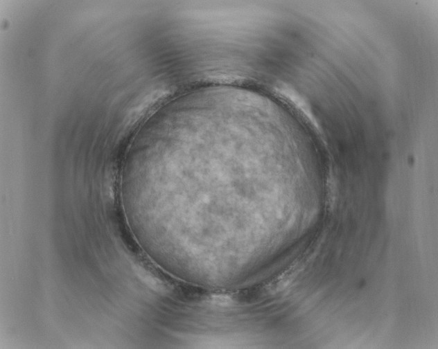 X0000089380114200707061149