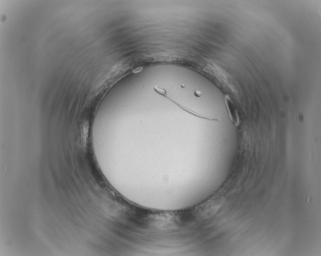 X0000089380118200707061149