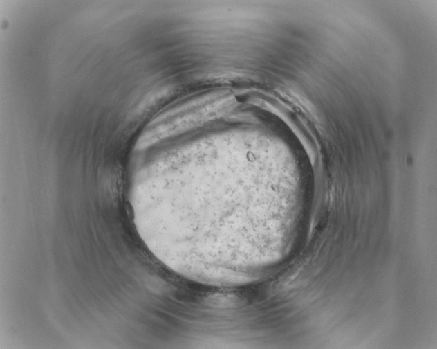 X0000089380119200707061148