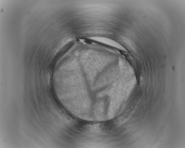 X0000089380120200707061148