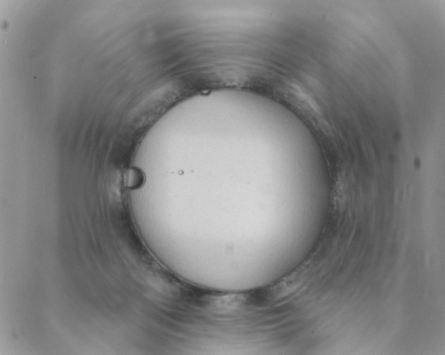 X0000089380122200707061148