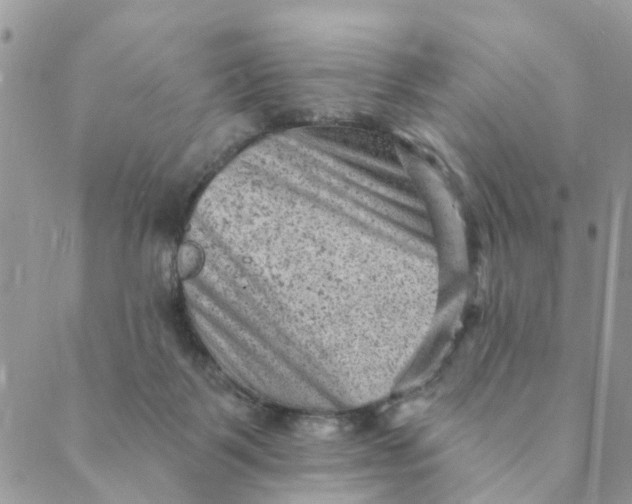 X0000089380123200707061148