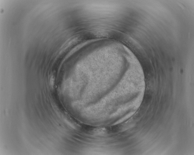 X0000089380124200707061148