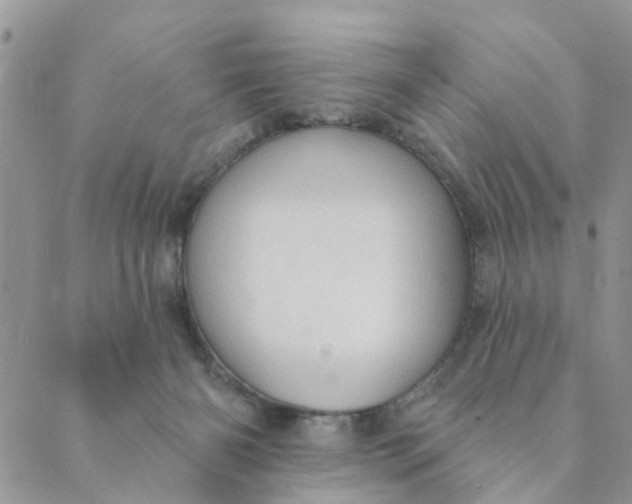 X0000089380126200707061148