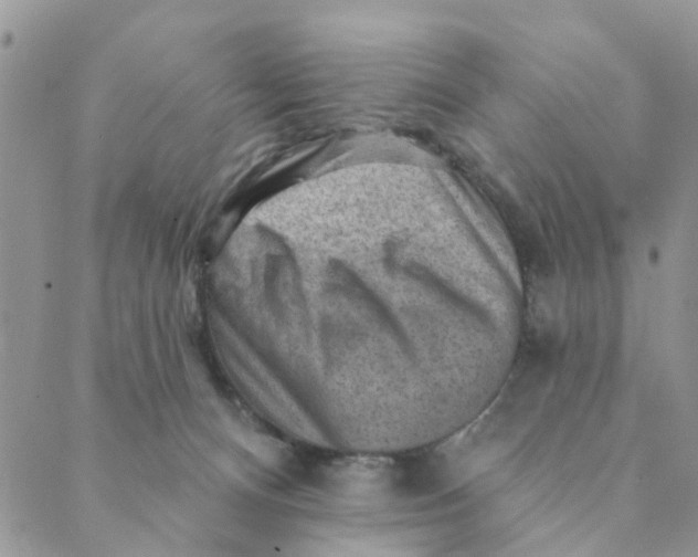 X0000089380128200707061148