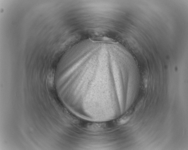 X0000089380129200707061148