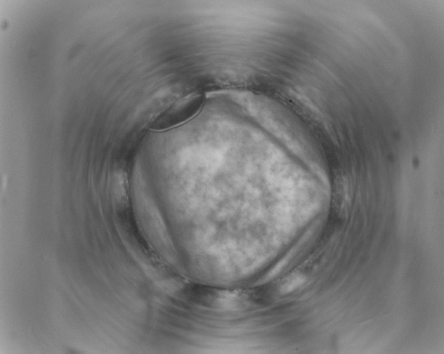 X0000089380130200707061148