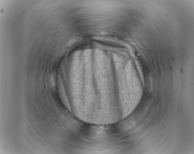 X0000089380131200707061148