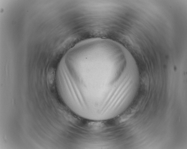 X0000089380133200707061148