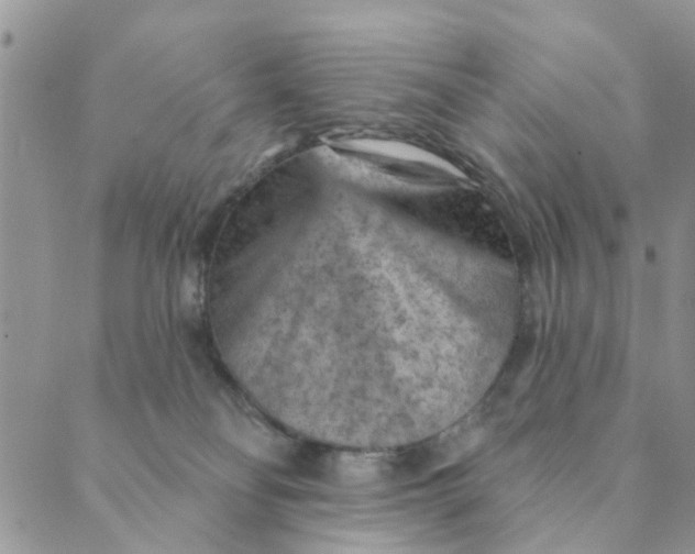 X0000089380134200707061148