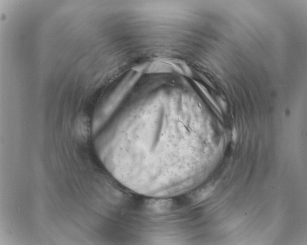 X0000089380135200707061148