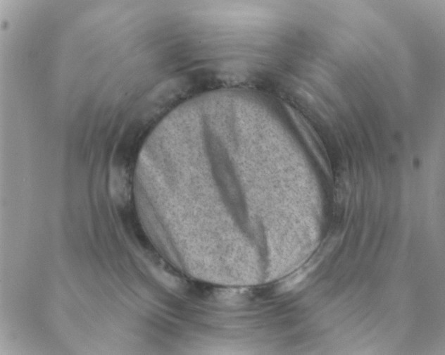 X0000089380136200707061148