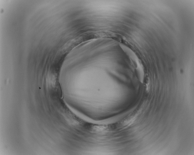 X0000089380139200707061148