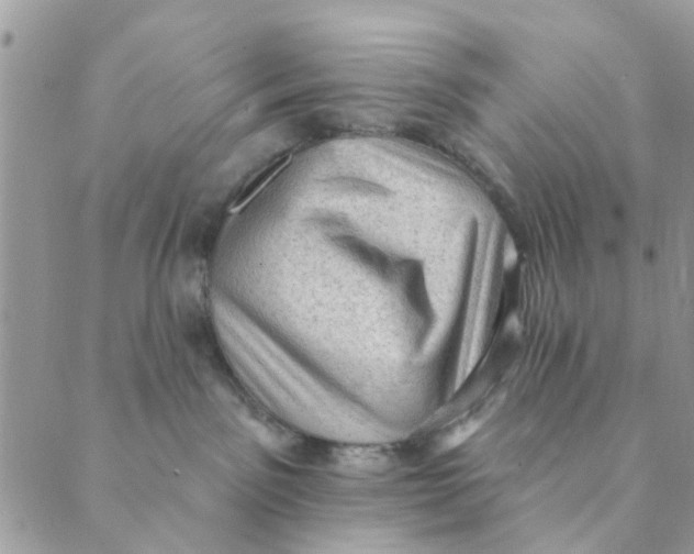 X0000089380141200707061148