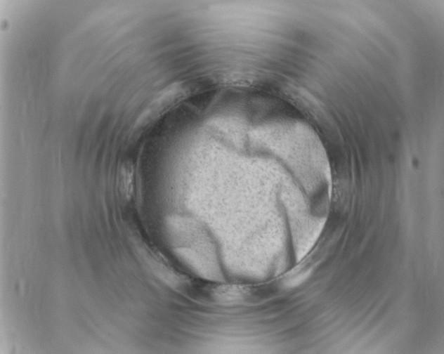 X0000089380142200707061148