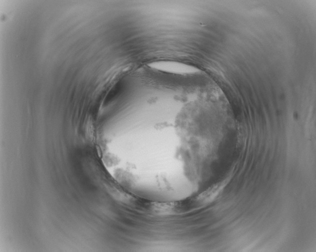 X0000089380143200707061148