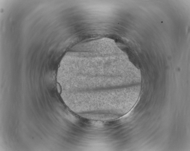 X0000089380144200707061148