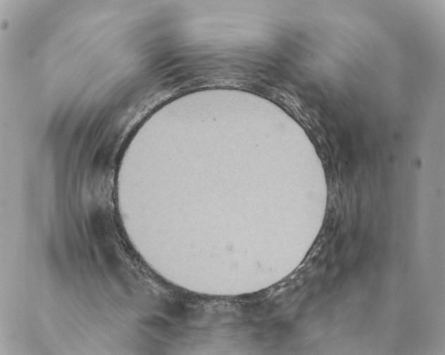 X0000089380146200707061147