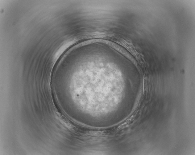 X0000089380147200707061147