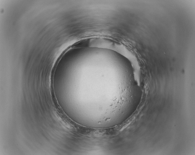 X0000089380148200707061147