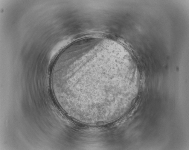 X0000089380149200707061147