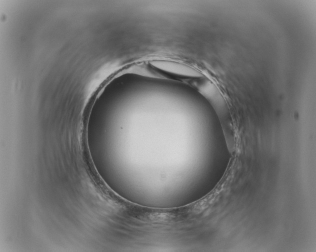 X0000089380152200707061147