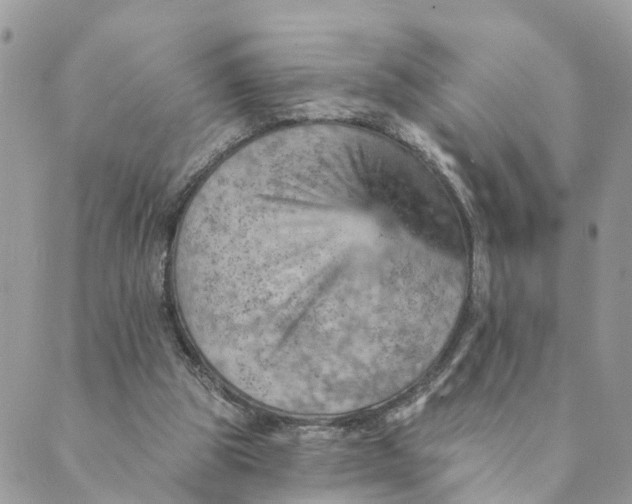 X0000089380153200707061147