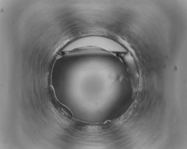 X0000089380154200707061147