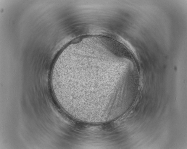 X0000089380155200707061147