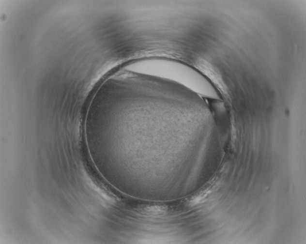 X0000089380156200707061147