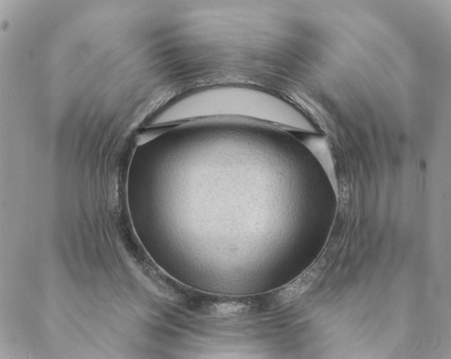 X0000089380158200707061148