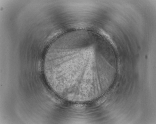 X0000089380161200707061148