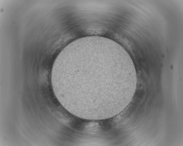 X0000089380162200707061148