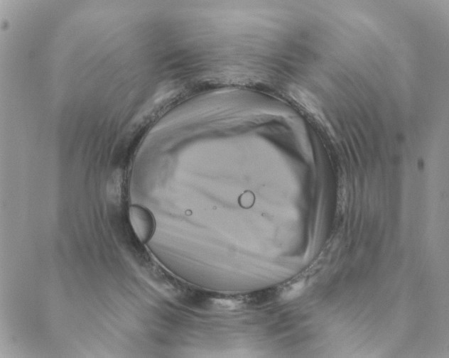 X0000089380167200707061148