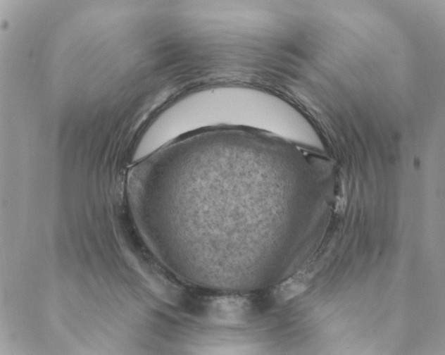 X0000089380168200707061148