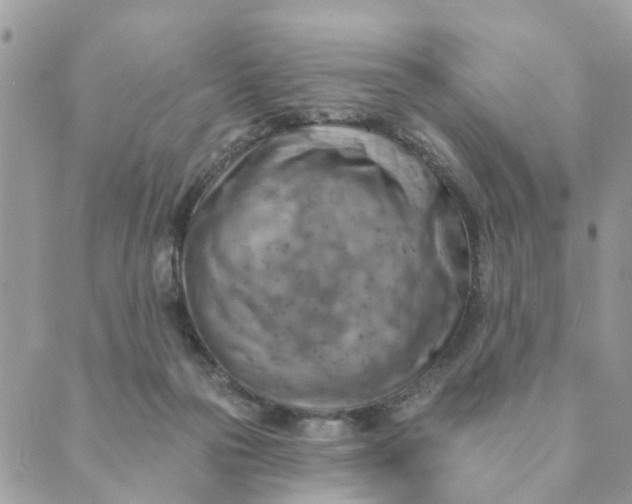 X0000089380169200707061148