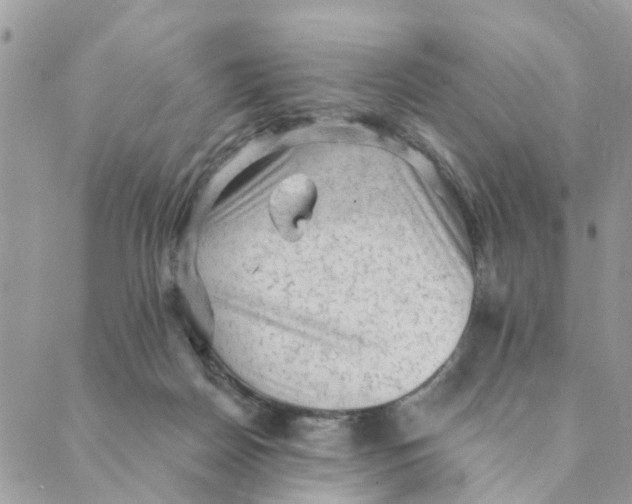 X0000089380170200707061148