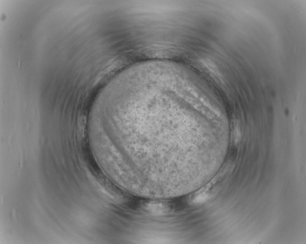 X0000089380171200707061148