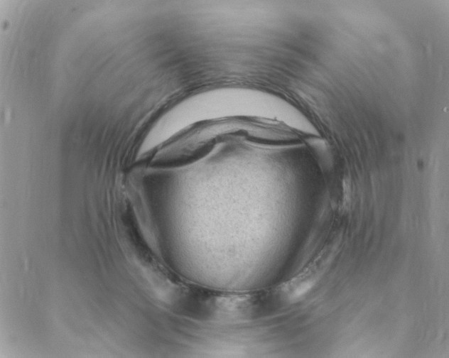 X0000089380172200707061148