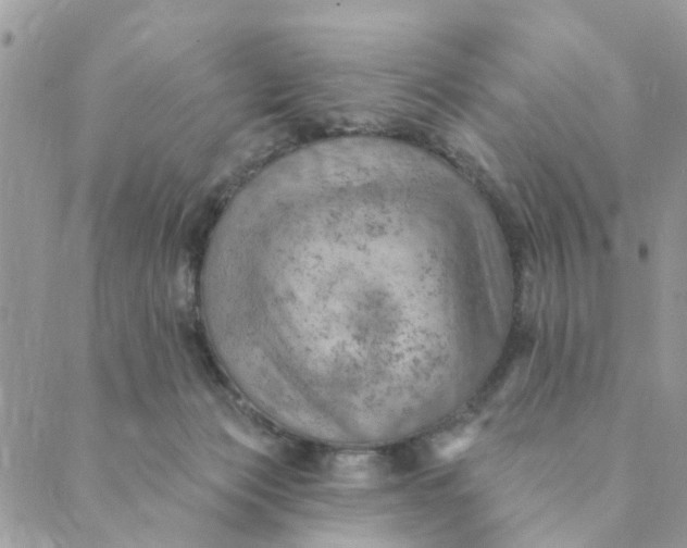 X0000089380173200707061148