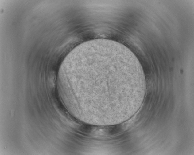 X0000089380174200707061148