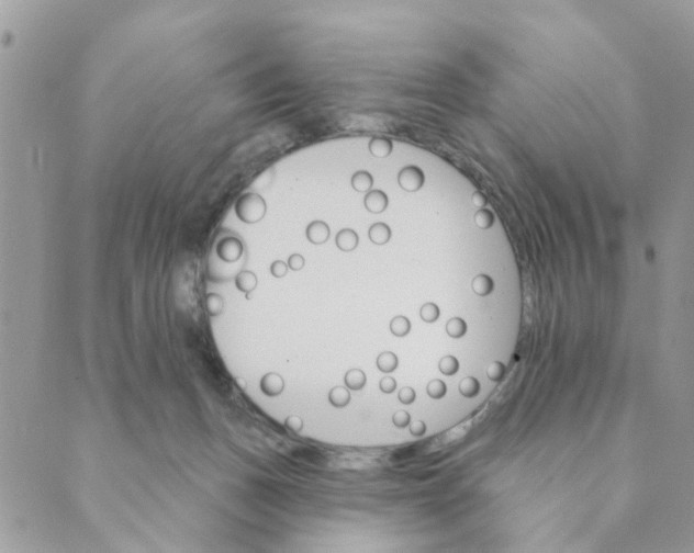 X0000089380175200707061148