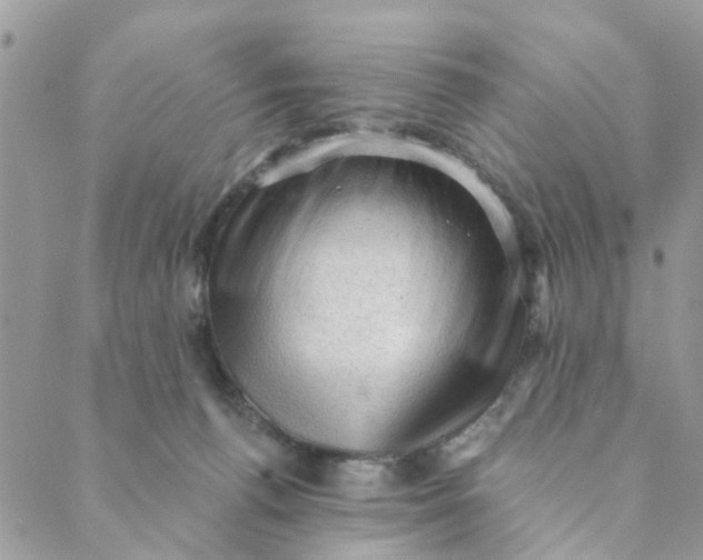 X0000089380176200707061148