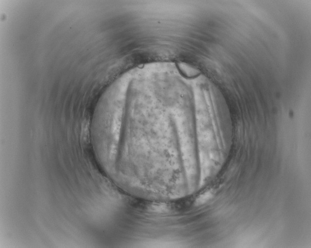 X0000089380177200707061148