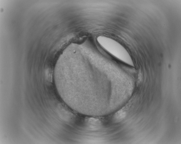 X0000089380180200707061148